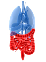 cleanse your colon